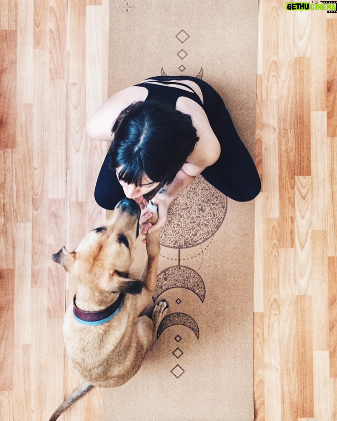 Büşra Çam - 1.2K Likes - Love me love me say that you love me 🐕 #abeatisofficial