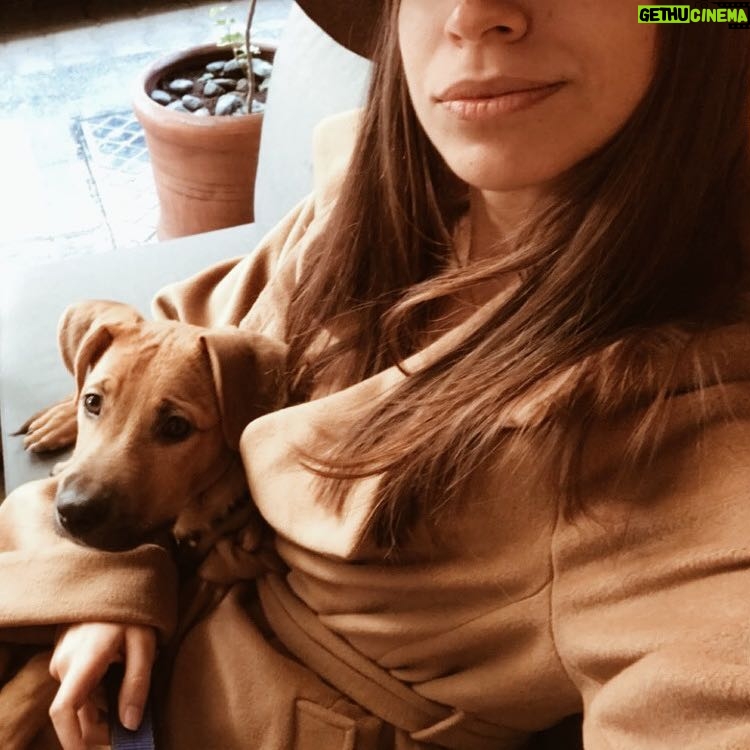 Büşra Çam - 1K Likes - Bu sezon kahve tonları modaymış 🐶💛👩🏽