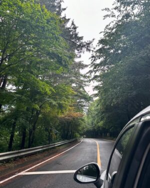 Byeon Seo-yun Instagram - 🛣️🌳🚗