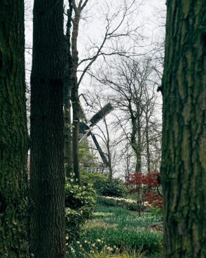 Çağrı Çıtanak Instagram - 📍Keukenhof