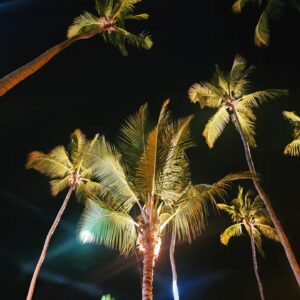 Caíque Nogueira Instagram - alô, paraíso Alagoas, do réveillon, dos corais e da culinária de frutos do mar que a gente ama, foi lindo 🤍 @governodealagoas *publicidade