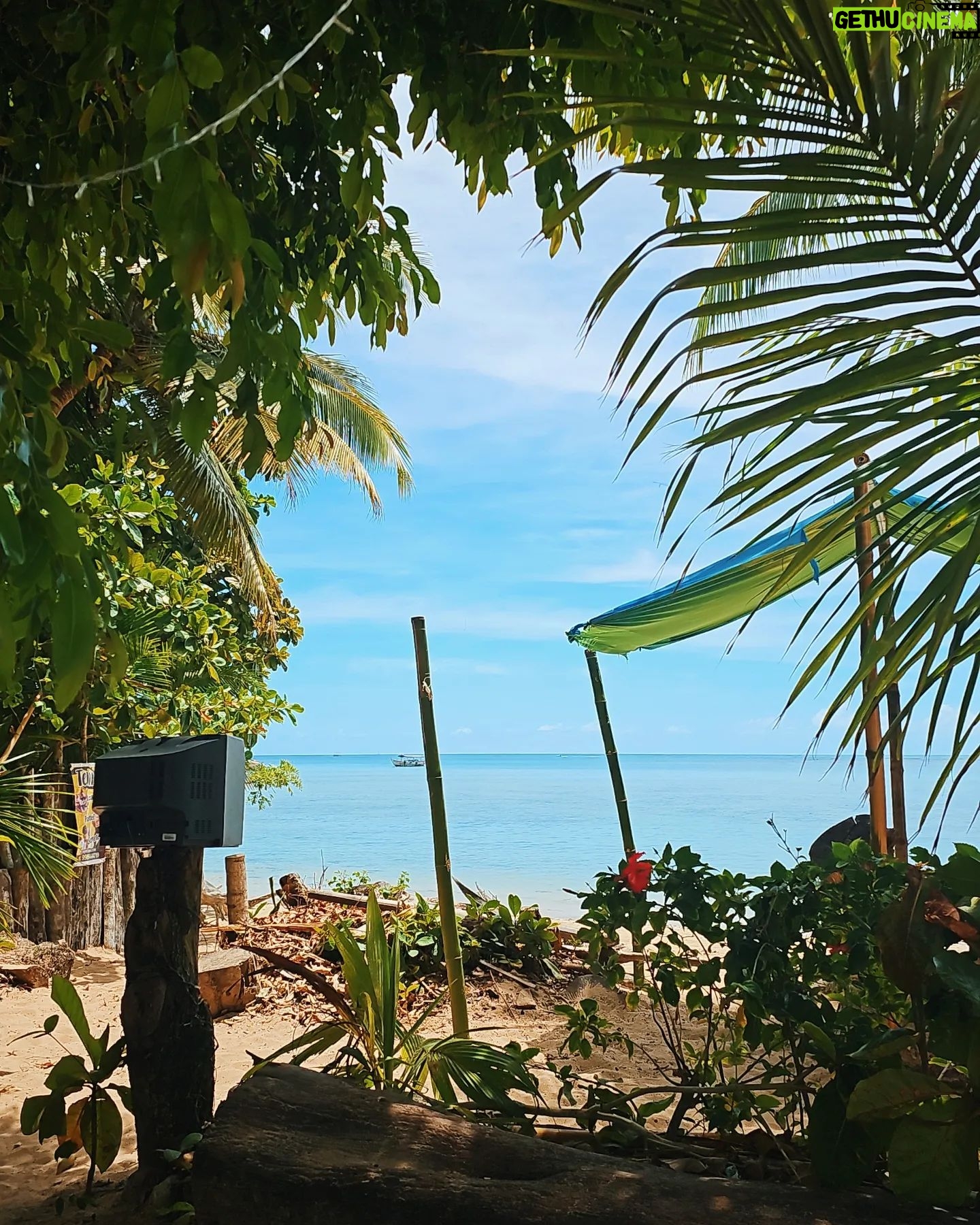 Caíque Nogueira - 1.7K Likes - posto devagar porque já tive pressa... 🫠 mais um verão no meu lugar preferido no mundo. grato demais por todo acolhimento dessa ilha e dos amigos de todos os anos 🤍