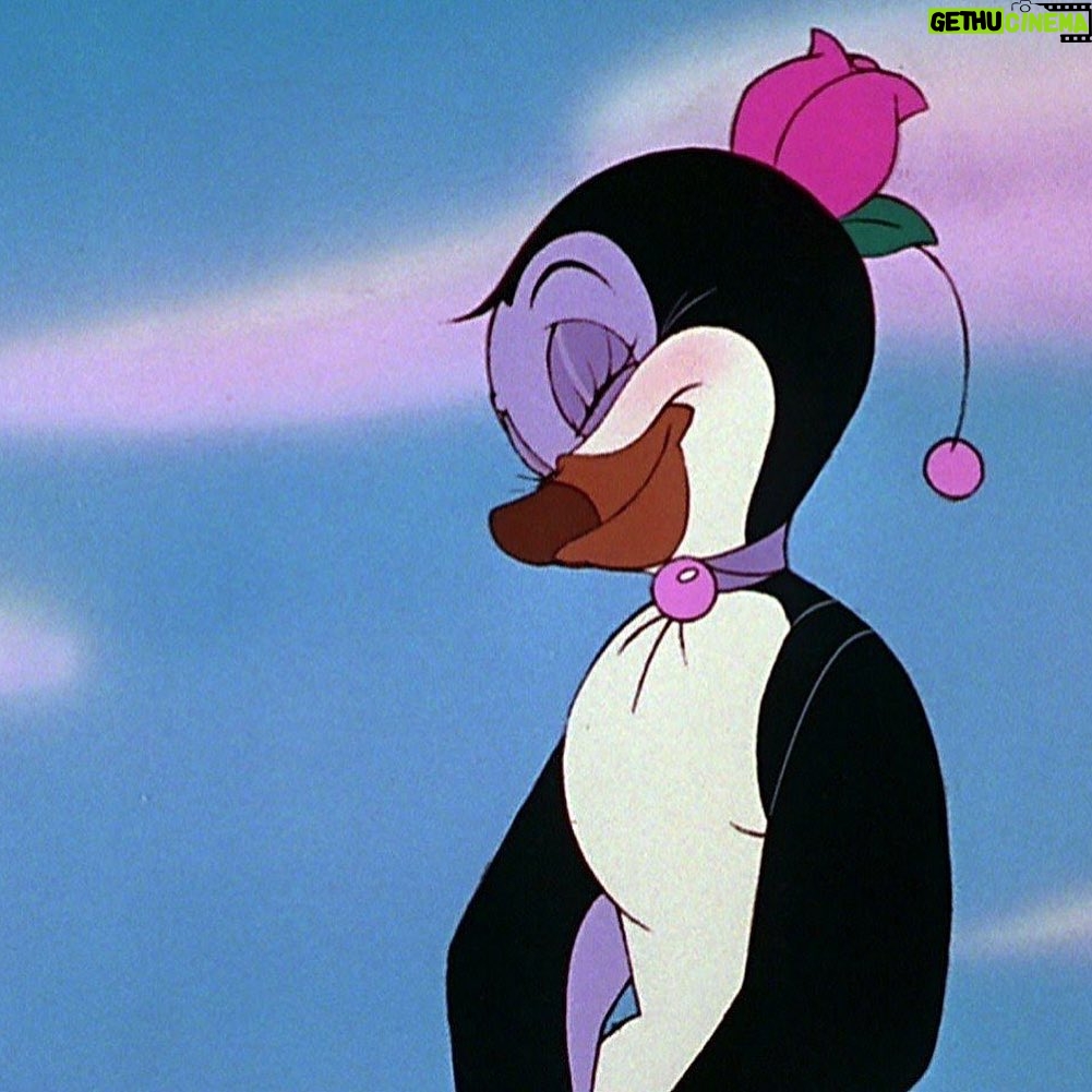 Cait Fairbanks - 1.9K Likes - It's not the pebble, it's the penguin