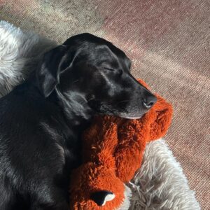 Cait Fairbanks Instagram - her snore is louder than her bark