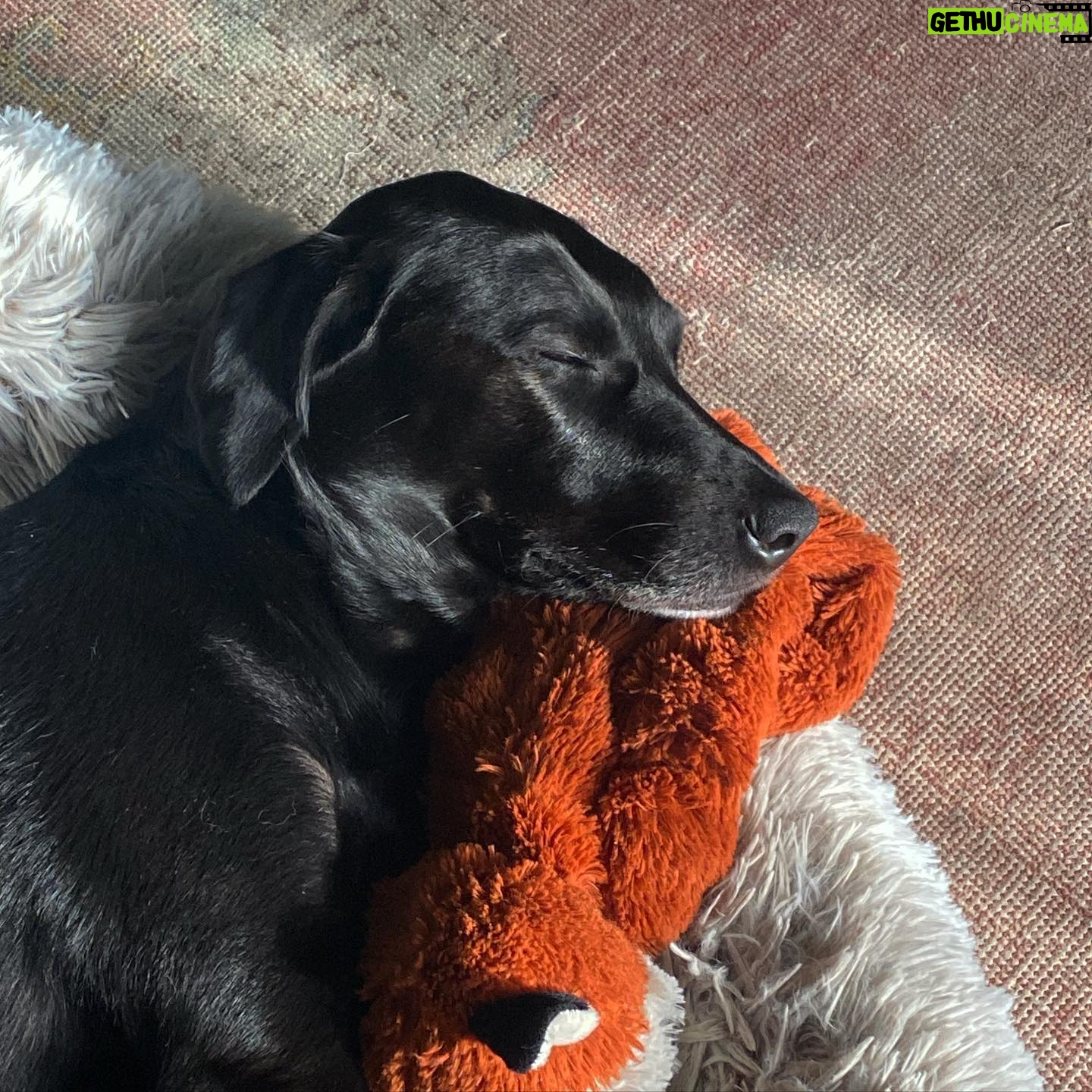 Cait Fairbanks - 0.9K Likes - her snore is louder than her bark