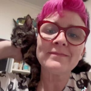 Cal Wilson Instagram - Luring you in on the promise of New Kitten Kipper action….really just plugging my show - you’ve got till midday Wednesday to score $25 Supposably tickets for my run at @melbcomedyfestival. Buy some, and I’ll show you footage of Kipper styling my hair with all of her feet. If that’s not your niche, what about me styling my hair with all of my own feet? Or me styling my own foot hair? I’ve said too much. 
Like I said - $25 tickets till 11.59am Weds, or when allocation is exhausted. (I’m already exhausted from Kipper, and writing this post) 

#micf #comedy #PirateAndBarnacle #AndKipper #comedy #StandUpComedy #Melbourne 

(Video: Cal with Kipper the new kitten winding round her shoulders. The video starts with Kipper pushing off Cal’s face cheek with one hind foot. So graceful. Video ends with Kipper appearing on Cal’s other shoulder, and graciously accepting chin rubs. She is tiny and cute, and so is Kipper)