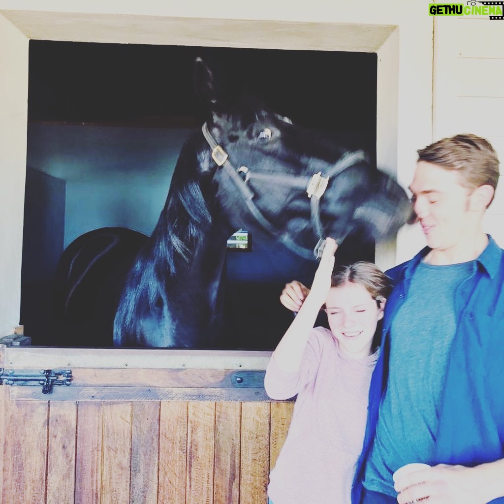 Calam Lynch - 9.8K Likes - See you in 2020... 👀 #blackbeautymovie
@mackenziefoy @fern_deacon @ashleyavis @therealclaireforlani @maxraph
