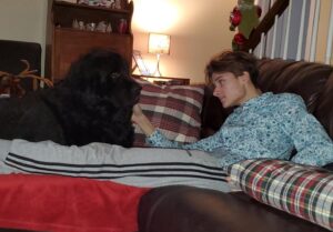 Cameron Brodeur Instagram - Man’s best friend. #BigMac #annoyingbrother #newfoundlanddog