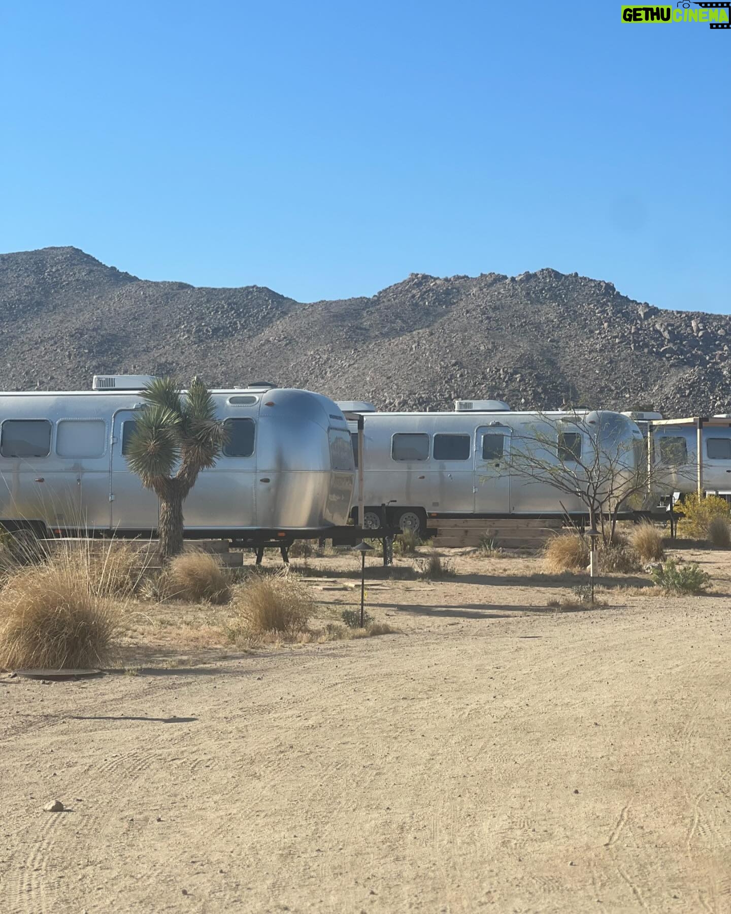 Cameron Richardson - 682 Likes - Thank you @raychelroberts for these beautiful pictures. Such a talented photographer beautiful mama. @autocamp #joshuatree