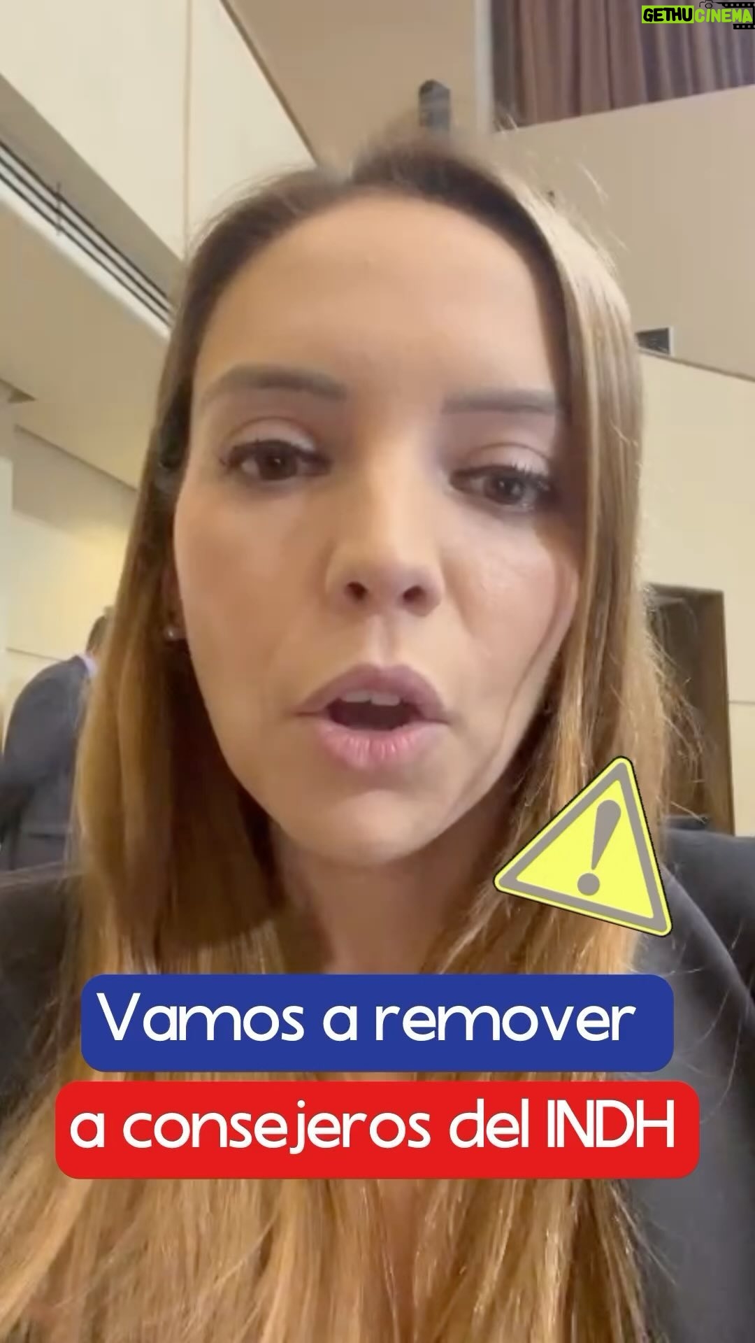 Camila Flores - 1.4K Likes - ℹ️ Vamos a remover a consejeros del INDH ℹ️