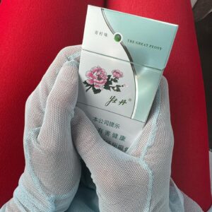 Camila Peralta Instagram - Vinimos al Festival Internacional de Shanghai a estrenar ADULTO dirigida por @marianogonzalez.1 producida por @pan.contenidos 🥹 
Todo está siendo hermoso y divertido!
Gracias @pamemartinelli por el estilismo soñado y por presentarme al Groso de @_tavogarcia que me hizo este vestido increíble en 3 días 🥰.