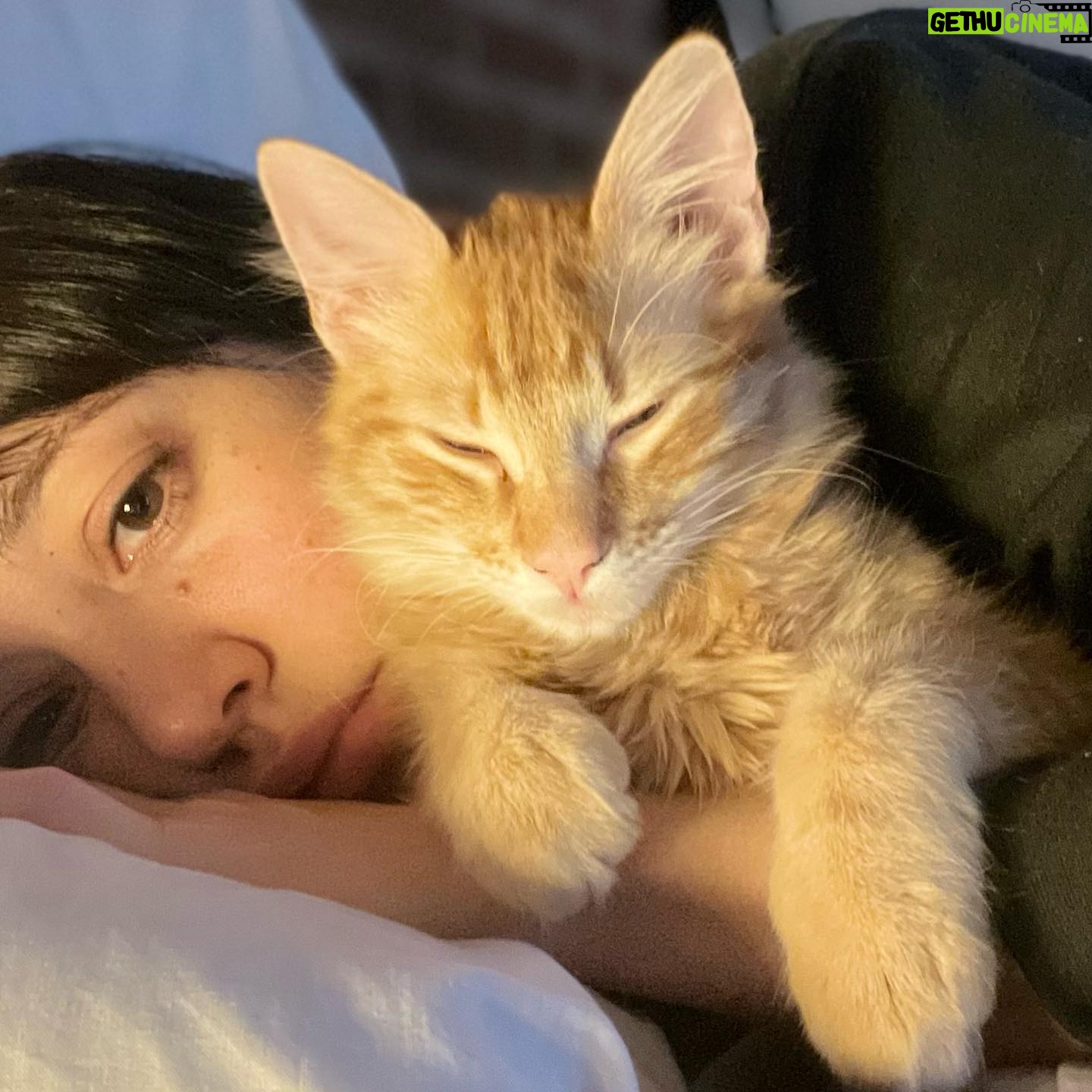Camila Peralta - 568 Likes - Lo súper extraño y me dio culpa no tenerlo en el feed.
NIKO TKM🥹