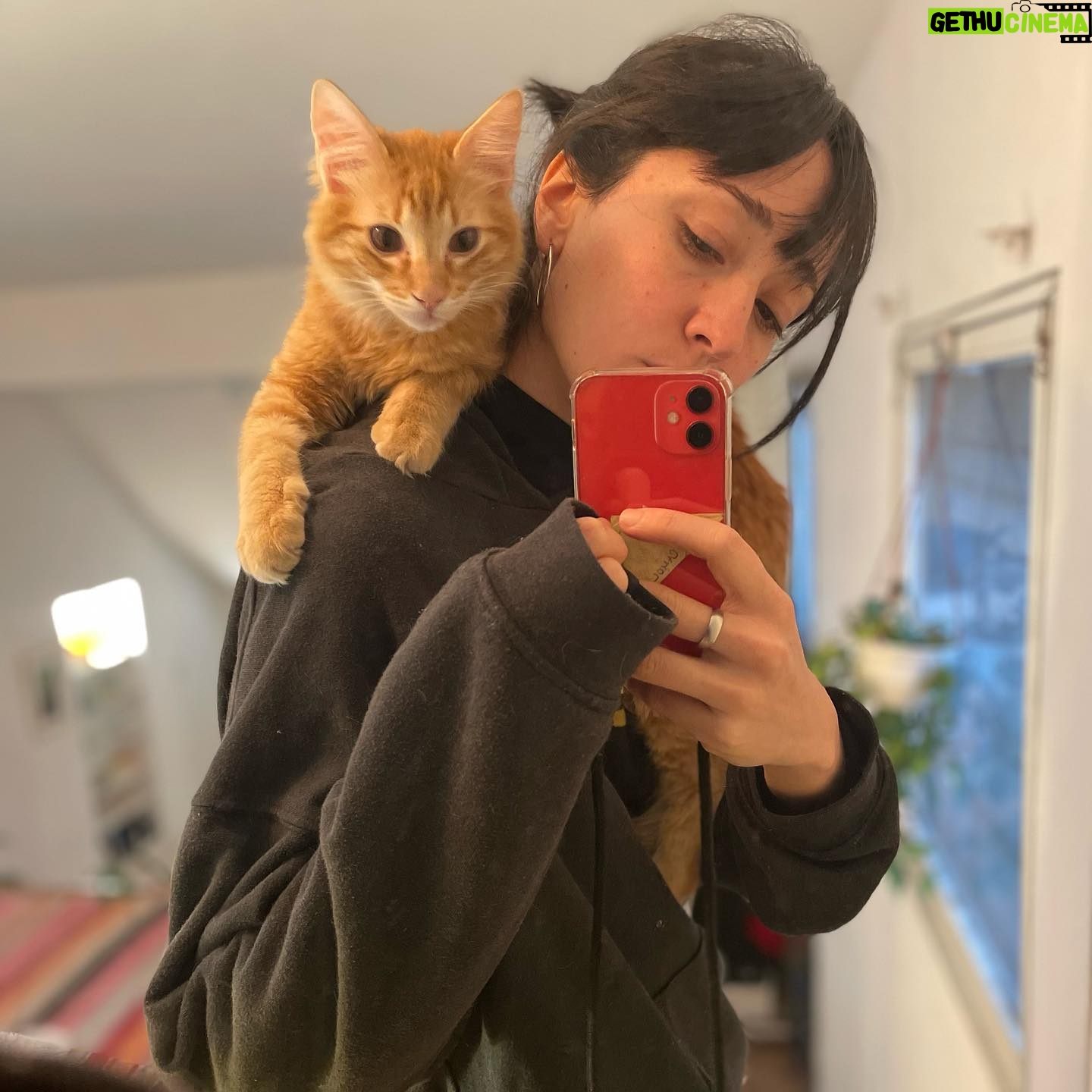 Camila Peralta - 568 Likes - Lo súper extraño y me dio culpa no tenerlo en el feed.
NIKO TKM🥹