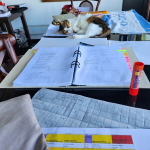 Camilla Thulin Instagram - Stina är hemma igen efter tandoperation och 3 dagar hos @bodrumterapiveteriner #bodrumterapiveterinerkliniği så arbete kan fortsätta då assistenten är tillbaka #bodrumcats #oldcats #yalıkavak #bodrum #turkiet #turkey #türkiye