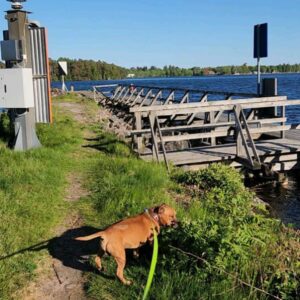 Camilla Thulin Instagram - Stockholm/Karlsborg t/r 24h. Sällskapade maken till vackra #karlsborg för promenera kring #vättern och #götakanal en ljuvlig sommarstad. Maken besökte #karlsborgsregemente och Musse och jag promenerade runt i den ljuva grönskan. Karlsborg, väl värt en omväg!