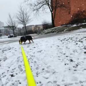 Camilla Thulin Instagram - Ännu en dag i Kung Bores våld #stockholm #sverige #sweden