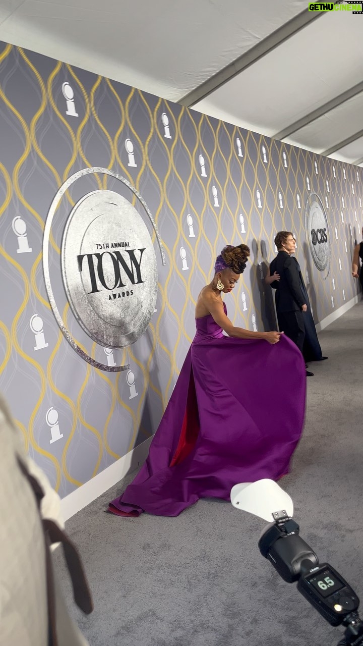 Camille A. Brown - 3.7K Likes - On the red carpet @thetonyawards 2022!!! Congratulations to everyone on this day! I am very honored by nominations for Direction and Choreography for my Broadway Directorial debut and thrilled to be in these categories with amazing artists!!! Shout out to @lileanablaincruzofficial !!! Black women representing in the Best Direction of a Play category✊🏽Shout out to the amazing creative team and cast of FCG!!! I am so proud of our 7 nominations! Special thanks to @carolinaherrera for this amazing dress!!! Much love to my glam squad @jakesokoloff @harristevenb and publicist @lisagoldbergpr and @lilypadr .And to my mom, THANK YOU for introducing me to musical theater. You are my rock and I am so thankful for you. Congratulations to EVERYONE who made theater during the pandemic. Let’s keep making art because it heals!