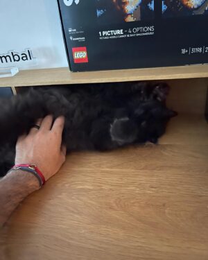 Camille Combal Instagram - Je n’ai pas trouvé de légende…