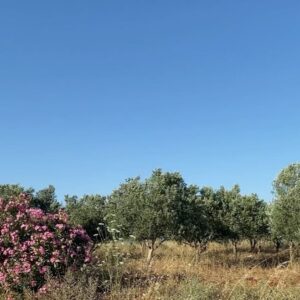 Cansu Kurgun Instagram - genel olarak baya beğendiğim bir haziran ayıydı 🦆