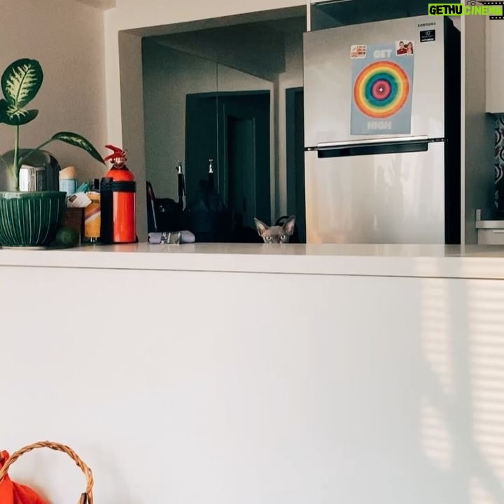 Cansu Kurgun - 751 Likes - tutun bırakma🫂