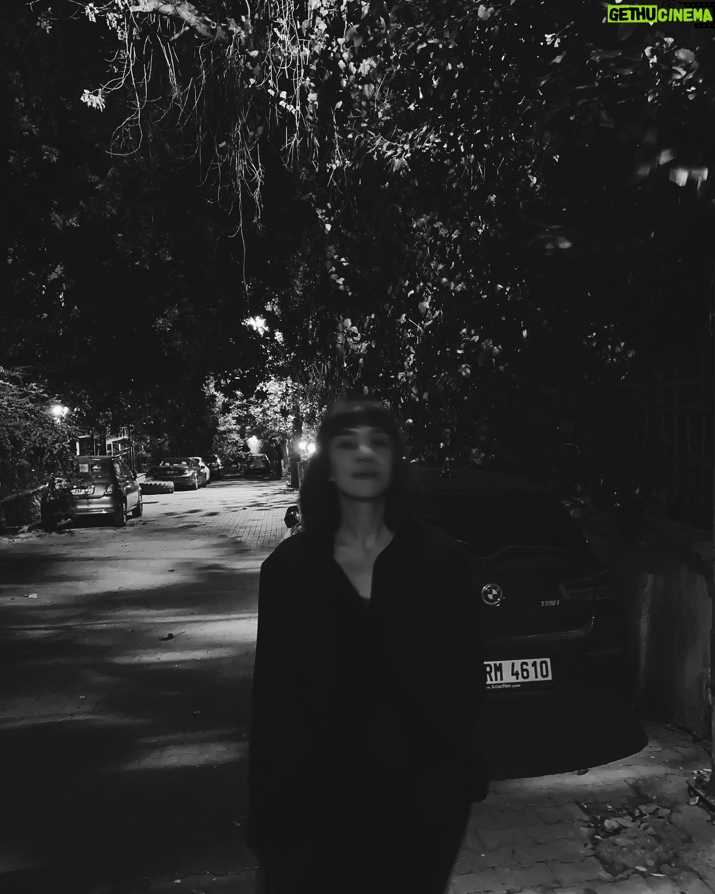 Cansu Kurgun - 564 Likes - iki bin yirmi birin ikinci yarısı
