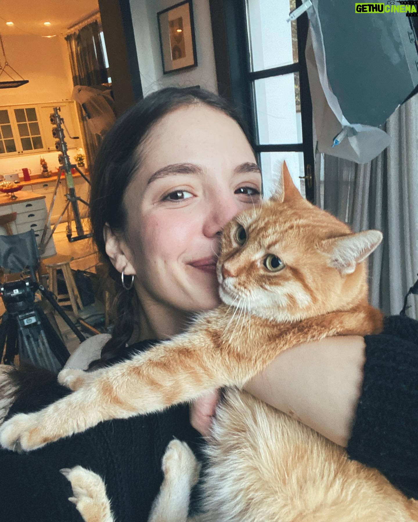 Cansu Kurgun - 832 Likes - 100 bölüm altı ay çok emek
sizi seviyorum❤️