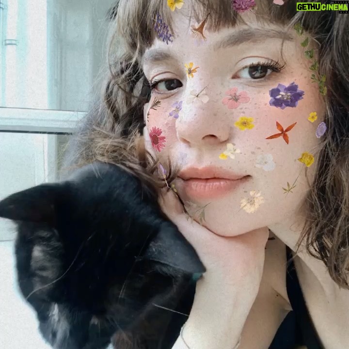 Cansu Kurgun - 606 Likes - kedi gününü kaçırdık :/