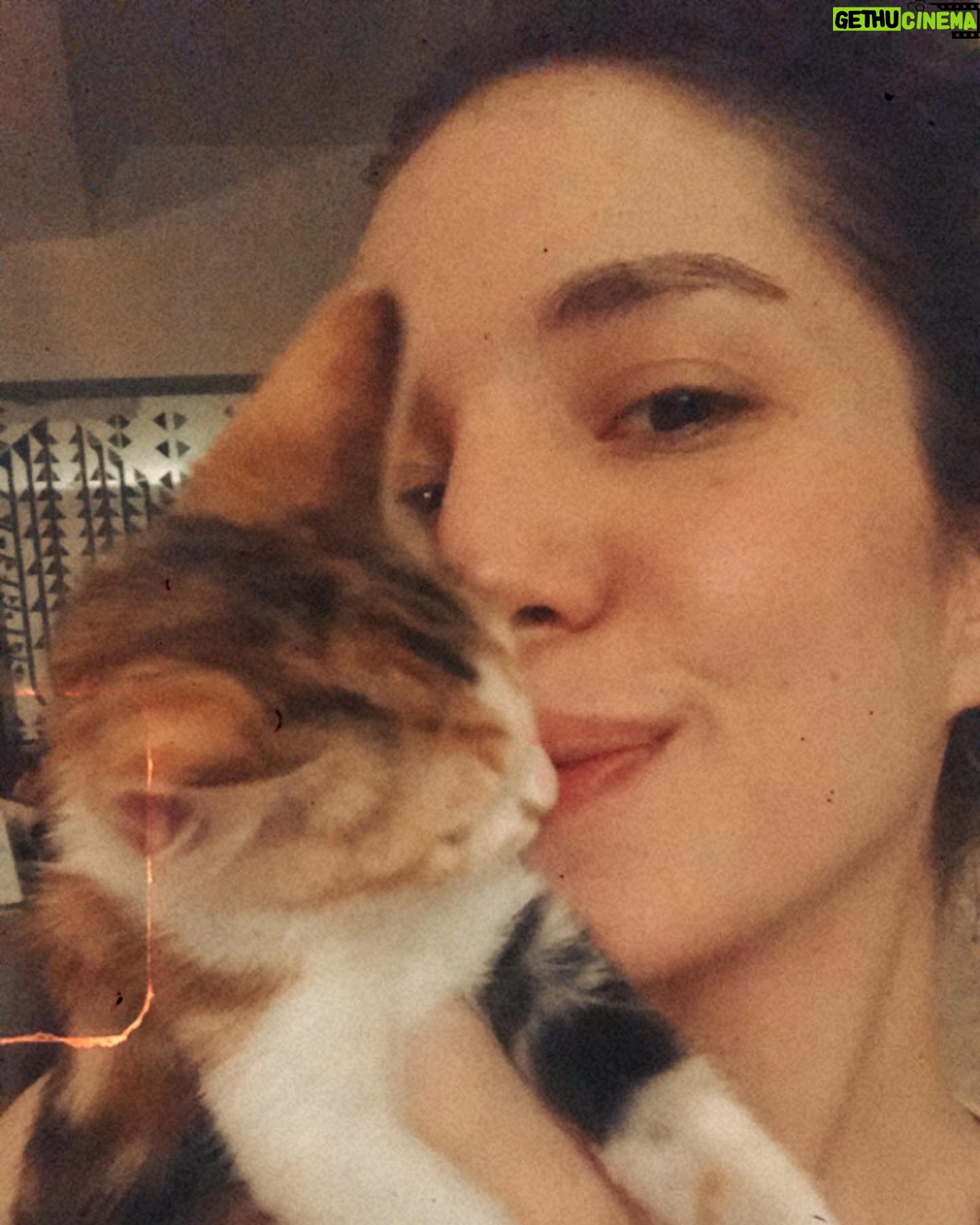 Cansu Kurgun - 606 Likes - kedi gününü kaçırdık :/