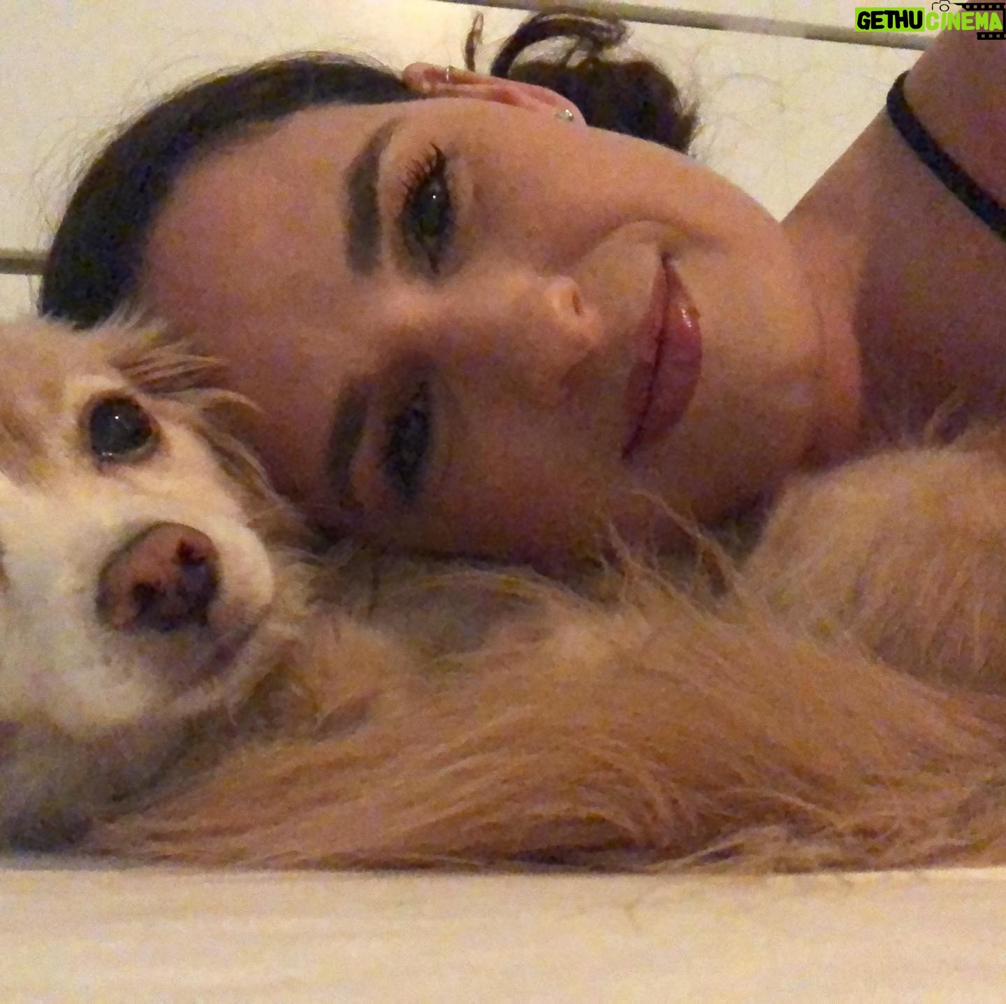 Cara Santa Maria - 2K Likes - My little man and me.
I love Killer ā¤ļø