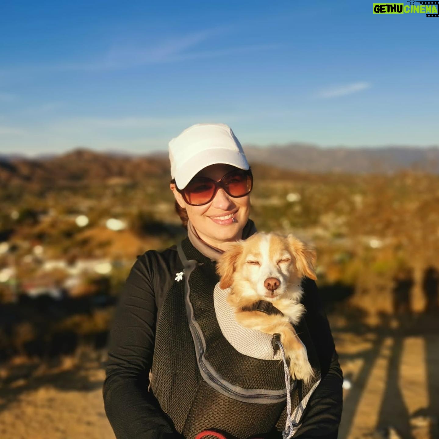 Cara Santa Maria - 1.2K Likes - First hike of 2021 š
.
(Killer gets too tired on the way back so he goes in the doggo š)