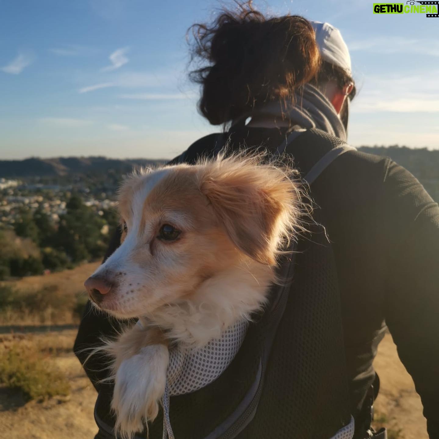 Cara Santa Maria - 1.2K Likes - First hike of 2021 š
.
(Killer gets too tired on the way back so he goes in the doggo š)