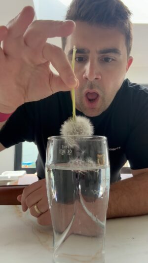 Carl Mullan Instagram - THIS IS A PUBLIC SERVICE ANNOUNCEMENT 🚨🚨🚨
.
🔉 Sound on and make sure to tag/share with someone who needs to try this 😂🥳
.
#experiment #nature #comedy #funnyvideos #reels