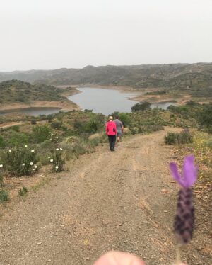 Carla Vasconcelos Instagram - Caminhos para o Caminho.  @correic 

#itsallaboutlove #caminhodesantiago