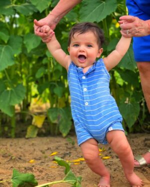 Carlee Baker Instagram - Spent some time in the sunflower field at @greggfarmpeaches this weekend - it was magical! 🌻🌻🌻