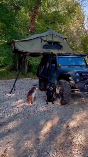 Carlito Olivero Instagram - 🏕️