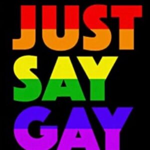 Carlton Elizabeth Instagram - Just feeling a kinda way for the love of a community that had my back when I needed u most. I love u 🖤 #lgbtq  I miss u bitches🖤 #justsaygay #fl
