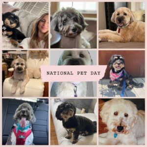 Carly Phillips Instagram - 𝐇𝐚𝐩𝐩𝐲 𝐍𝐚𝐭𝐢𝐨𝐧𝐚𝐥 𝐏𝐞𝐭 𝐃𝐚𝐲 🐶

My life wouldn’t be the same without the pets I have or have had in my life. I love my boys (Tony and Brady) and miss my girl (Bailey) and my heart dog Buddy.

They aren’t here long enough but I’m so lucky to have had them all! 🐾

#nationalpetday #carlyphillips #romance #romancebooks #romancereaders #romancerecs #bookish #bookworm #booklover #bookaddict #bookstagram