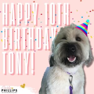 Carly Phillips Instagram - Happy 10th birthday to the best dog in the world. Tony, you’re the best Craigslist rescue a family could ask for! Love you, Bub 🩷 

#carlyphillips #romance #romancebooks #romancereaders #romancerecs #bookish #bookworm #booklover #bookaddict #bookstagram