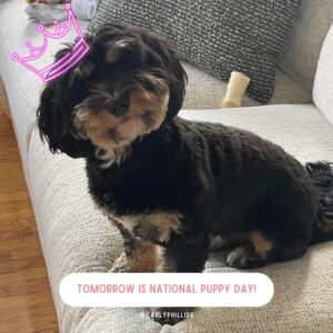Carly Phillips Instagram - 𝐓𝐨𝐦𝐨𝐫𝐫𝐨𝐰 𝐢𝐬 𝐍𝐀𝐓𝐈𝐎𝐍𝐀𝐋 𝐏𝐔𝐏𝐏𝐘 𝐃𝐀𝐘! 🐶

To celebrate, I want to know 𝙬𝙝𝙖𝙩'𝙨 𝙩𝙝𝙚 𝙣𝙖𝙢𝙚 𝙖𝙣𝙙 𝙗𝙧𝙚𝙚𝙙 𝙤𝙛 𝙮𝙤𝙪𝙧 𝙥𝙪𝙥𝙥𝙮 (𝙤𝙧 𝙙𝙤𝙜)?? 🐕 🐩 🐕‍🦺 Let me know in the comments below! 👇

#carlyphillips #romance #romancebooks #romancereaders #romancerecs #bookish #bookworm #booklover #bookaddict #bookstagram