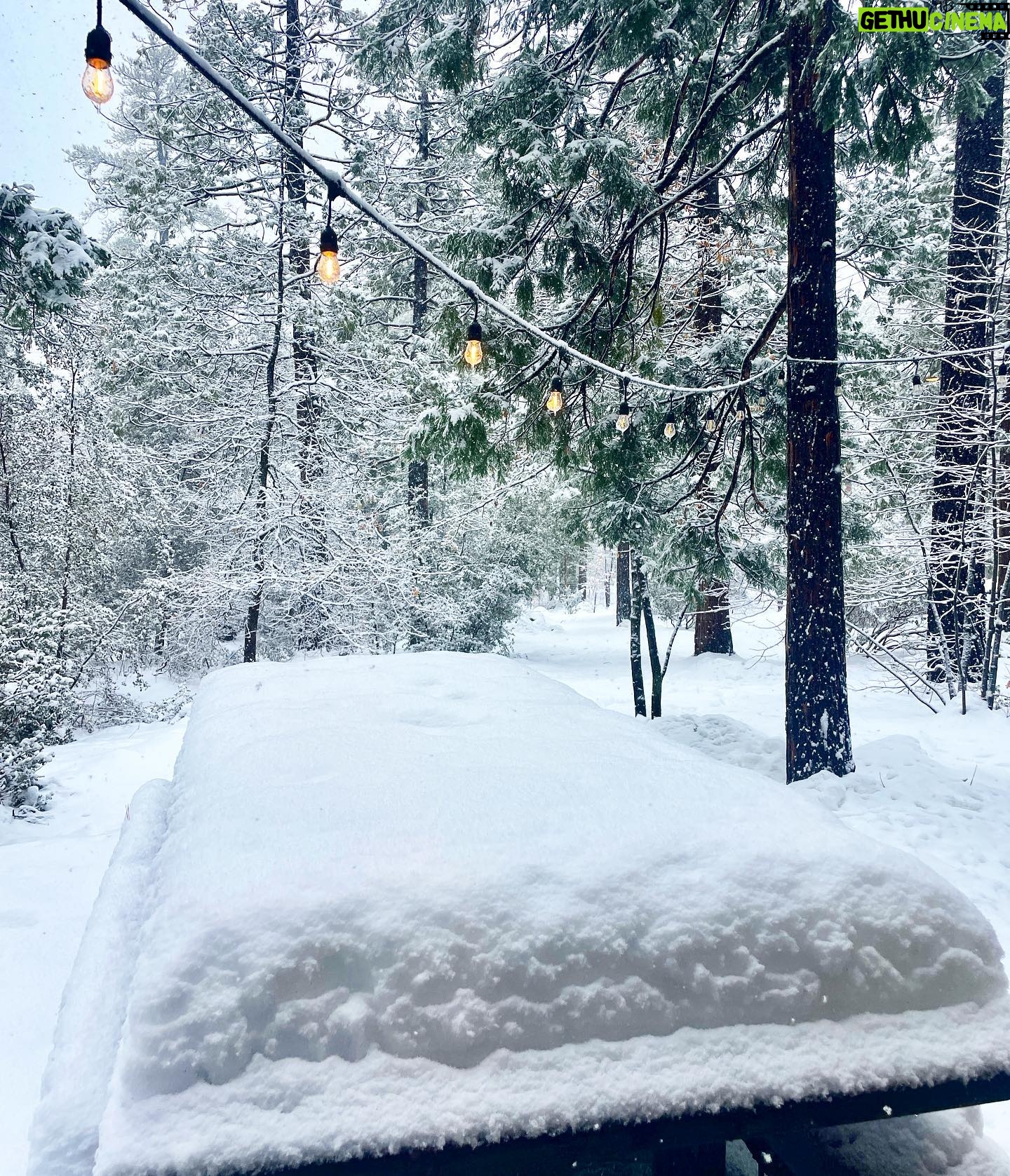 Carly Pope - 380 Likes - Imagine this, but doubled. I wish we hadn’t dug ourselves out. Idyllwild you were magique.
*Sadie was thrilled, scroll for proof*