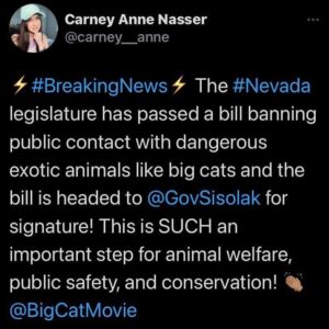 Carole Baskin Instagram - AMAZING NEWS OUT OF NEVADA!