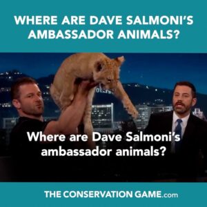 Carole Baskin Instagram - Did you ever wonder where the baby endangered species and ambassador animals on late night TV go after the show is over? 
Retired cop @timharrison2001 and animal experts including @carneyanne and @retiredbigcat decided to find out in the award winning, bomb-shell investigative documentary film, The CONservation Game is on iTunes Prime Video, VUDU and Google Play to watch NOW! 
#Tiger #BigCatPublicSafetyAct #Rescue #BigCats #CaroleBaskin #TGIF #FridayMotivation #NowStreaming #Cats #TheConservationGame #AnimalWelfare #AnimalLovers #DocumentaryFilm #ForTheAnimals