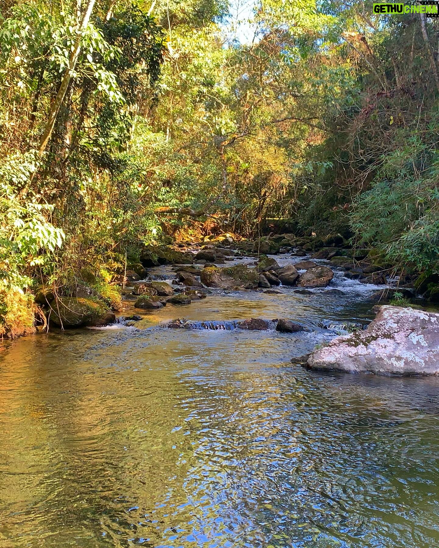Carolina Chalita - 407 Likes - Entre os Sacis e as Fadas 🧚🏽
#viagemdasmeninas #girltrip #nomato #naturephotography #riobonitodelumiar #serracarioca