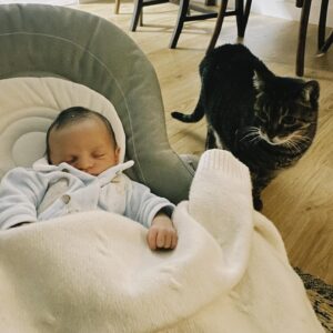 Carolina Picoito Pinto Instagram - Tinha 10 anos quando a Mia chegou à minha casa, com 1 mês, pelas mãos da minha mãe. Estávamos na altura do Euro 2006 e foi durante os jogos que criámos a nossa ligação: eu insistia que ela me desse carinho e ela, como era seu apanágio, insistia em dar-me dentadas. Percebi, com o passar dos anos, que eram a mesma coisa. Se pensar em mim, assim vista de fora, tenho sempre a Mia comigo. Todas as pessoas que passaram na minha vida, conheceram a Mia. Todas as que reencontro me perguntam “ainda tens a Mia?”. Foi o mais próximo que tive de uma irmã (com um péssimo feitio, é um facto) e, acima de tudo, o meu primeiro amor. Foi ela que me ensinou a amar os animais e, por causa dela, já amei tantos outros. Não só a mim,  como ao meu filho. Também ela foi o primeiro amor do Afonso e a sua primeira dentada. Por causa dela, para o meu filho todos os gatos são “Mia”. Por causa dela, eu e o Afonso tratamos todos os gatos por “tu” e nao há felino nenhum no Mundo que nos faça sentir medo: nós começámos com a Mia (depois dela, são todos “leitinho”).
Hoje, o nosso primeiro amor vai descansar. Já cumpriu a sua missão, mas eu vou ter saudades para sempre. 
Descansa, Mioca. ♥️