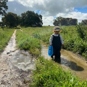 Carolina Picoito Pinto Instagram - Overdose de mémés, múmús, poças de água, piu-pius, cócórócós, ão-ãos e miaus. Nem a chuva torrencial nos deixou vacilar no entretenimento pedagógico. E agora, oremos em conjunto para pedir a Zeus que nos livre de um resfriado nas ventas. 🐓 🌱