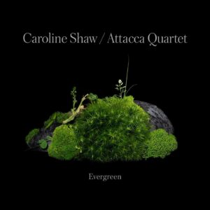Caroline Shaw Instagram - 🌲 Very happy to send this out into the universe today. It's among my favorite musical worlds I've ever gotten to build, with some of my closest friends. I hope that listening to this record is like walking through the forest floor from an ant's perspective, looking up at the surrounding moss, water, and wood in all its patient, nourishing, strange complexity. 

Link in bio. 

And we'll be performing music from ‘Evergreen’ at @publicrecordsnyc in Brooklyn this Tuesday, September 27. Come! 

Sending a hug this morning to @attaccaquartet / @violinist_amy_schroeder @domenic_salerni @schramnate @hapacello 

Recorded by Alan Bise at @kaufmanmusiccenter. Cover design by @wilkerton with photography by @danielkukla. Many thanks to all at @Nonesuch including @gschauf, @karinaisahug, Robert Edridge-Waks, David Bither