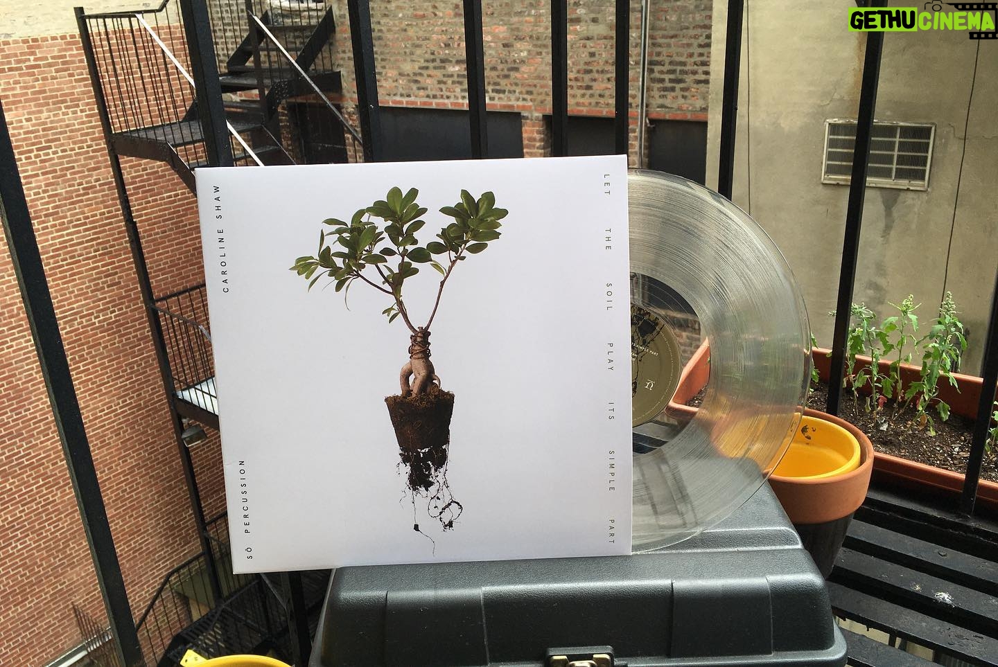Caroline Shaw - 3.6K Likes - hi :) cloudy monday morning fire escape cover of @abbaās lay all your love on me. the more epic version with @sopercussion is coming june 25th, as track 5 of our album, Let the Soil Play Its Simple Part on @nonesuchrecords... and OH YES you can pre-order the vinyl or cd via a link in my bio š±