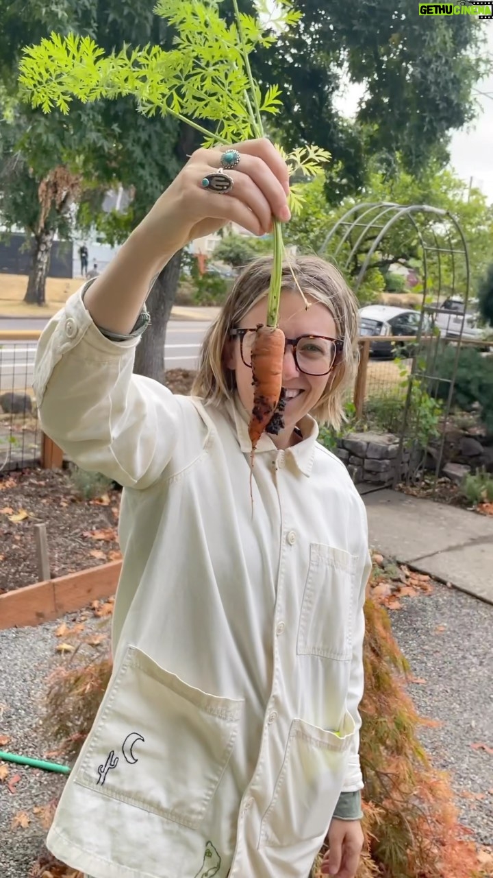 Caroline Shaw - 450 Likes - happy birthday to this astonishing critter @dannileep ā¤ļø