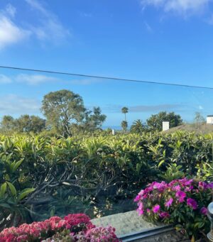 Carrie Wampler Instagram - California things… 🍓