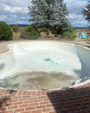 Carson Kressley Instagram - I've made a career out of makeovers - and this one left me speechless!  My pool at the farm is about 50 years old.  It was looking tired and dated and needed a serious tszuj! So I called @anthonysylvanpools and they came out quickly, gave me tons of options for the pool interior finish and color, coping and lighting. The process was quick and easy and the cost reasonable, especially compared to installing a new pool.  I LOVE the results and my pool looks brand new.  I honestly couldn't be more happy with the entire process and reveal. Summer's right around the corner and you can give your pool makeover with the link in my bio!